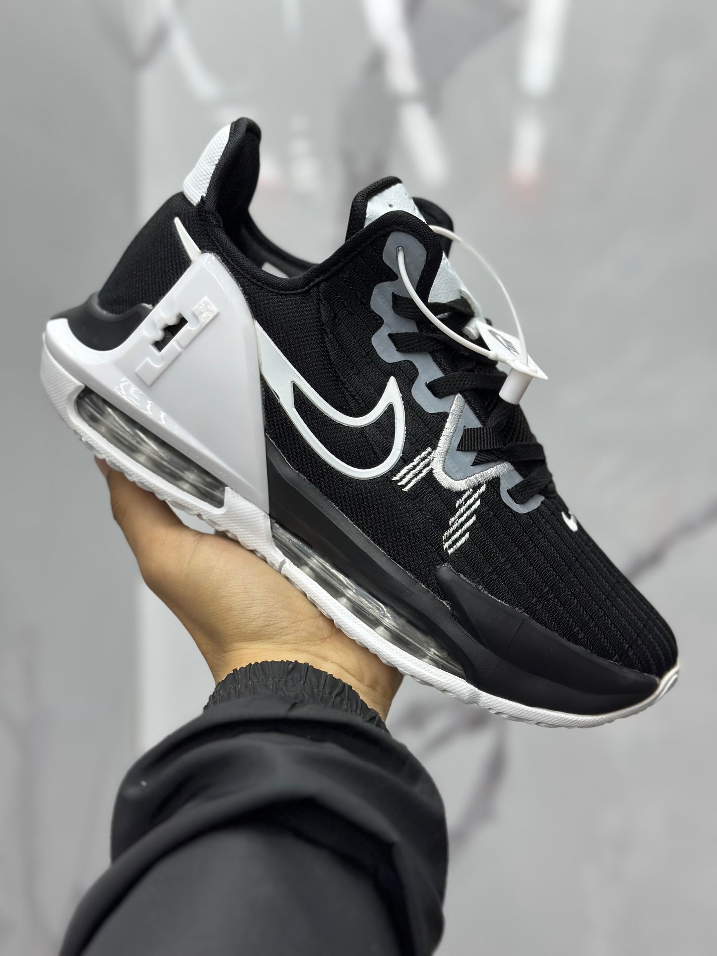 Lebron 6 caballero