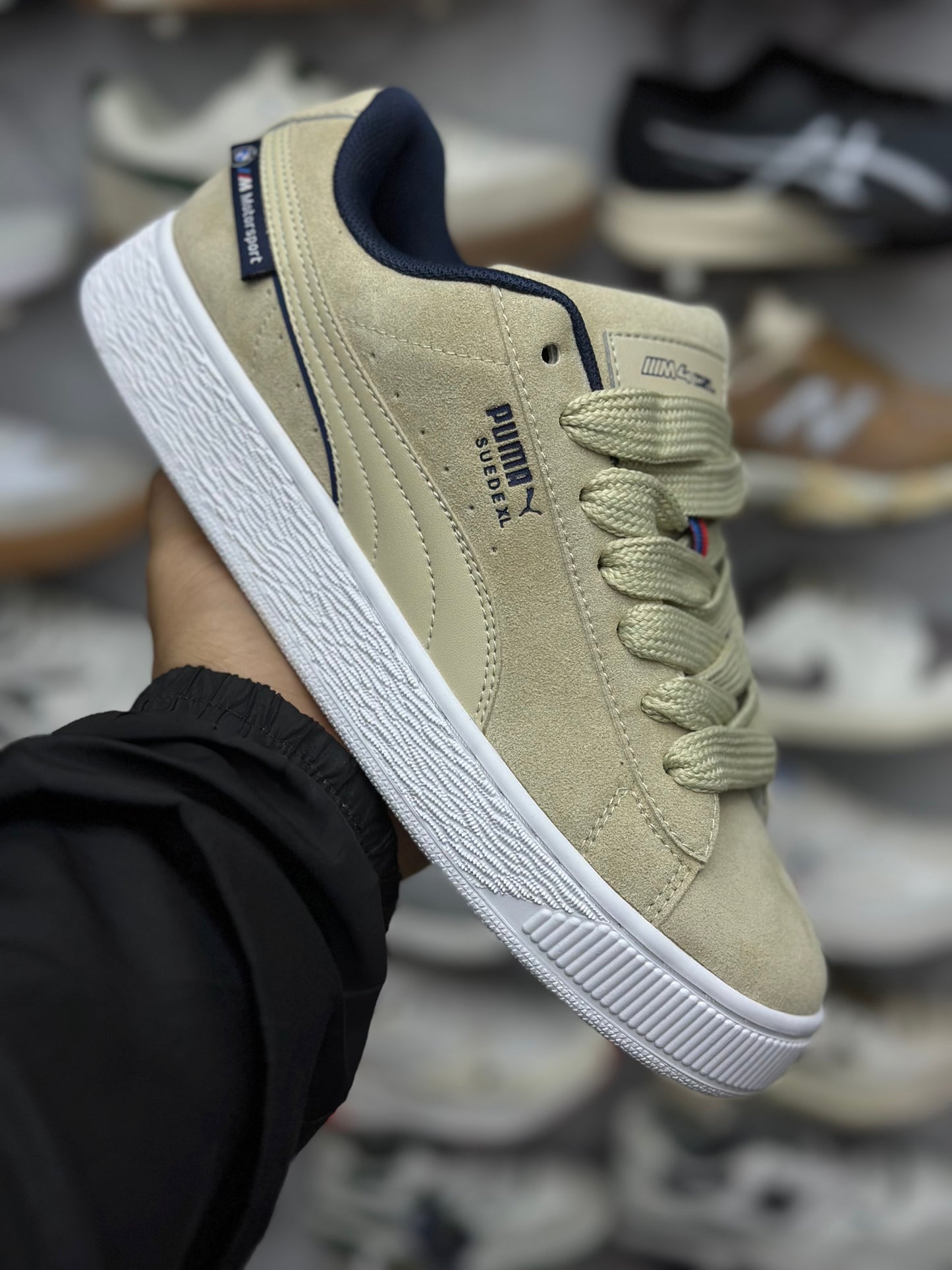 Puma Caballero