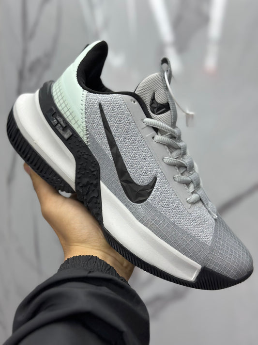 Lebron ambasador 13 caballero