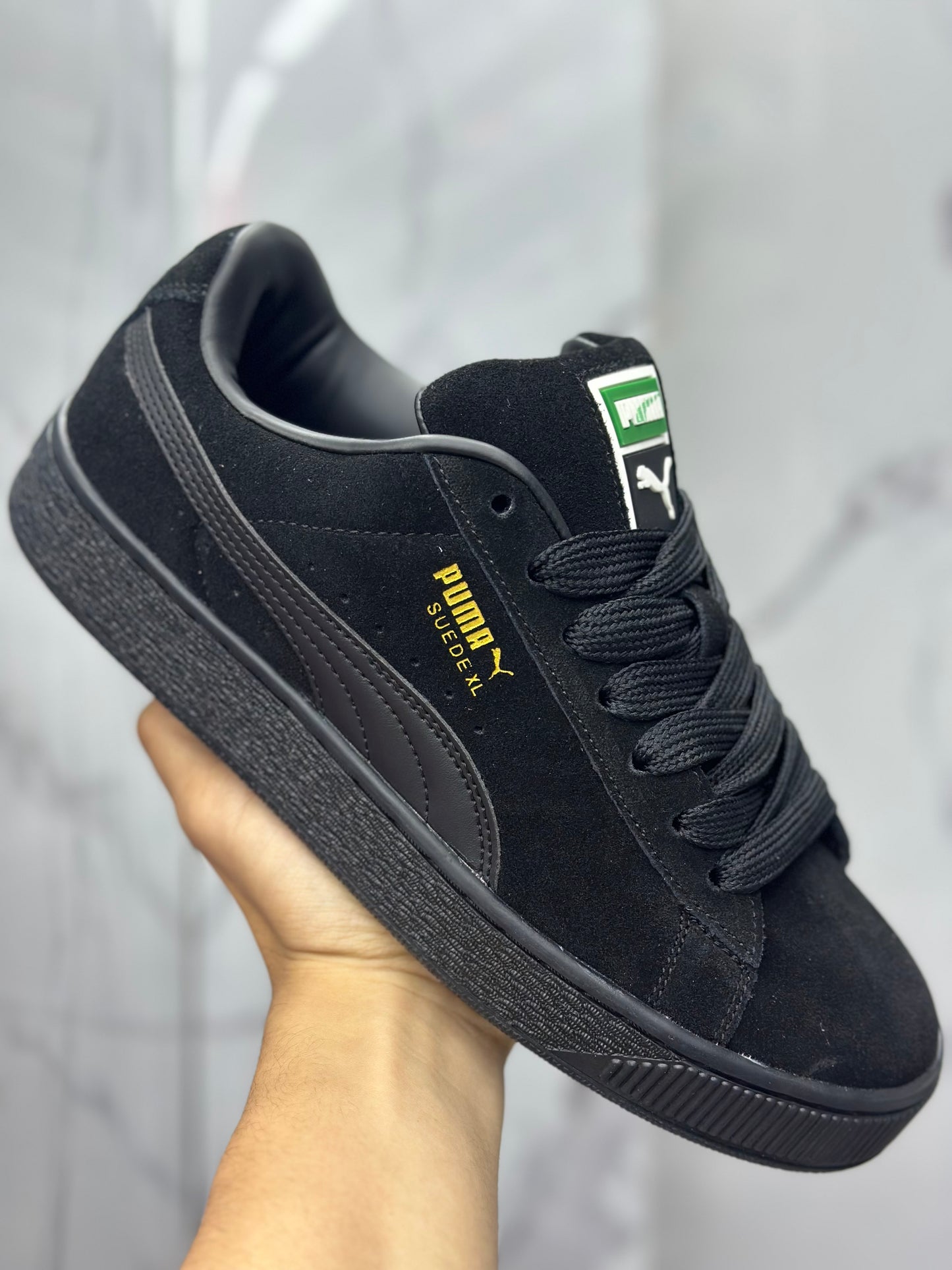 Puma Caballero